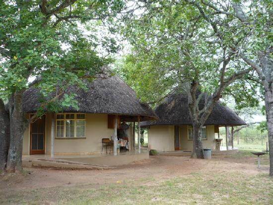 DSJM Day 7 Kruger National Park – Johannesburg, South Africa