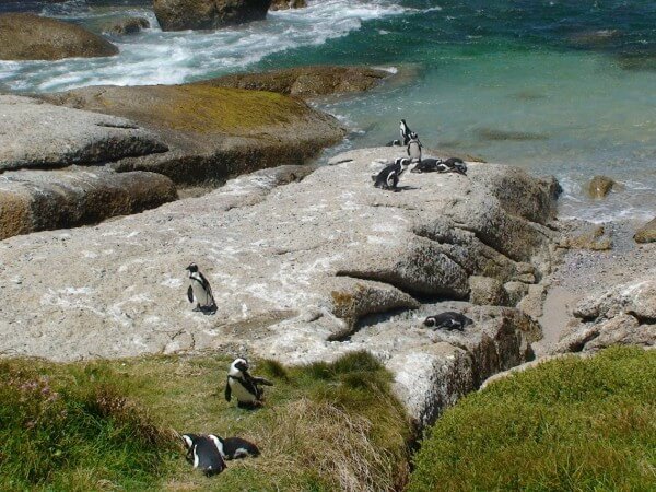 GCN55 Day 01: Cape Town, South Africa