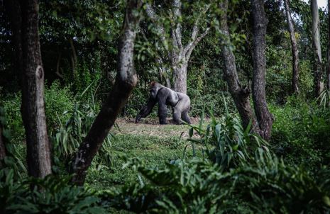 55 Day Epic African Overland Journey: Cape Town to Nairobi