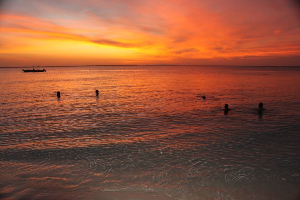 Zanzibar and Gorillas Tour|east africa