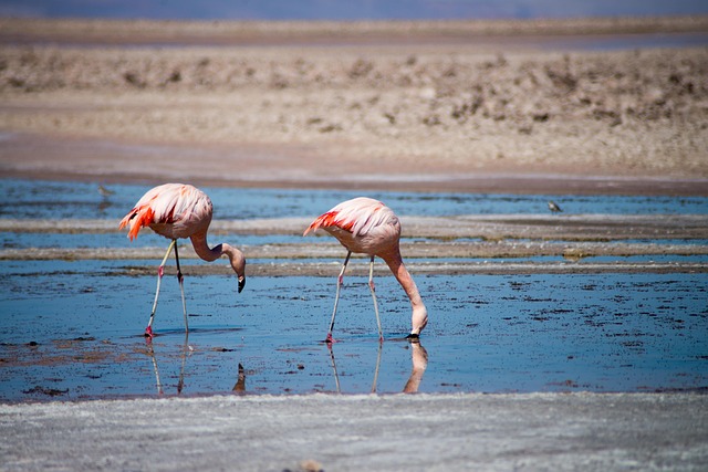 7 Day Tanzania Wildlife Small Group Adventure