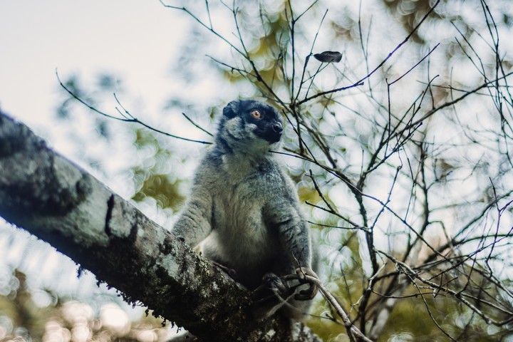 African Overland Tours