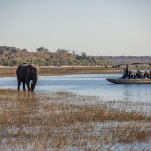 31 Day Cape to Kruger: Four Country Tour