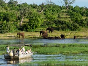 17 Day Botswana and Zimbabwe Safari (Wild Camping)