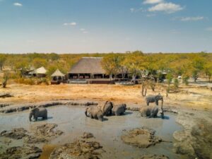 10 Day Botswana and Zimbabwe Safari