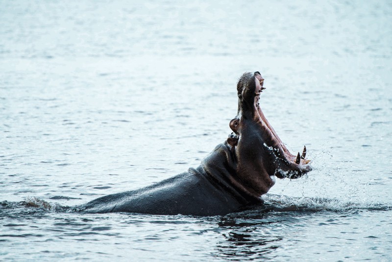 African Overland Tours