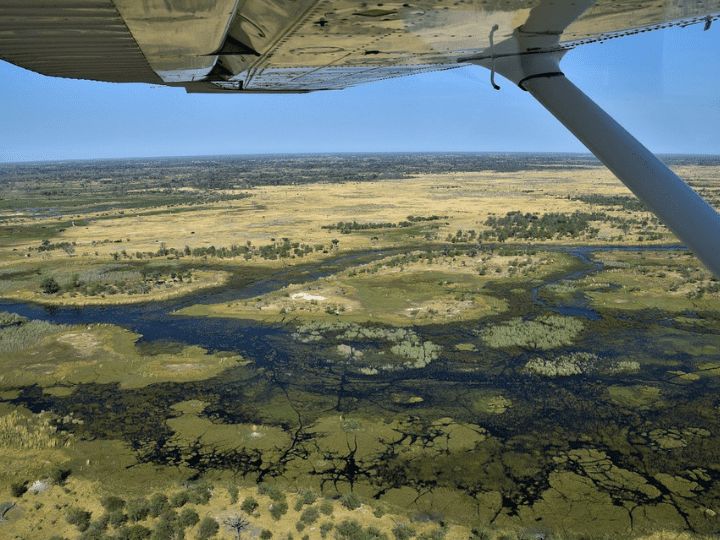 Okavango Delta