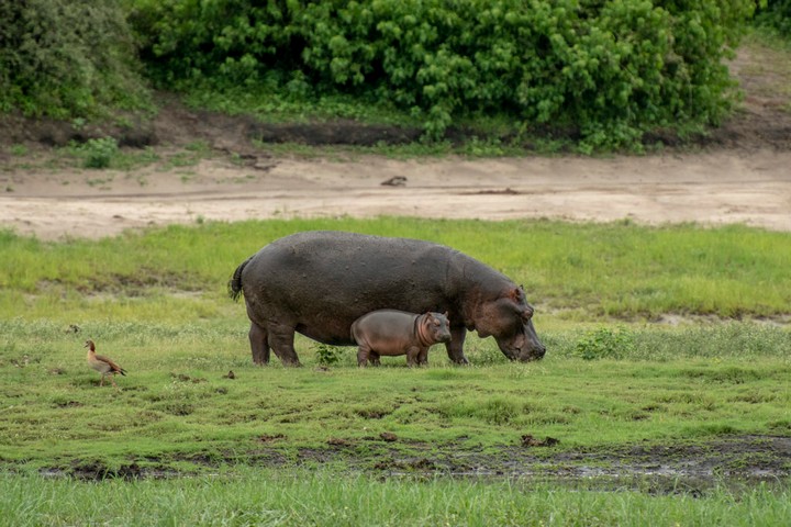 African Overland Tours