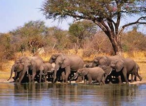 13 Day Zambezi Small Group Adventure Tour
