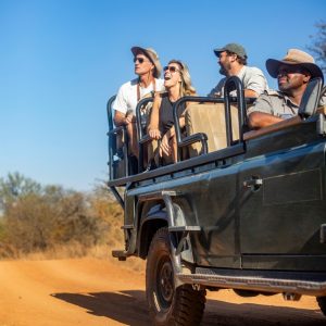 10 Day Cape Town to Kruger and Johannesburg Adventure