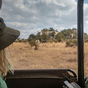 8 Day Kruger and Eswatini Small Group Lodge Tour