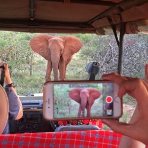 9 Day Johannesburg to Victoria Falls Tour