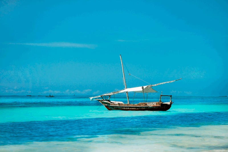 DSUA Day 33: Zanzibar Beach Resort, Tanzania