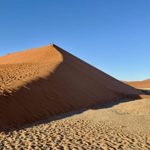 14 Day Namibia Discovery Safari