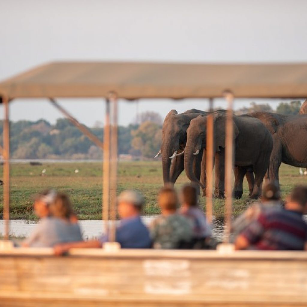 Chobe Cruise