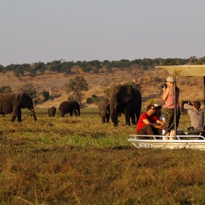15 Day Botswana and Zimbabwe Classic Safari