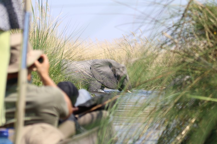 Johannesburg to Maun Safari: The Complete Travel Guide to our Small Group 14 Days of Wildlife and Wonders Safari