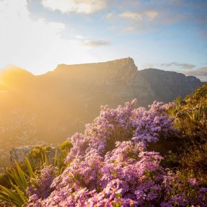 20 Day Cape Town to Victoria Falls Adventure Fully Serviced