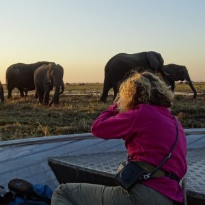 13 Day Botswana Adventure Tour
