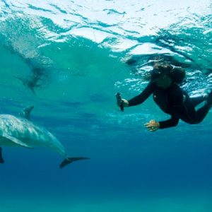 14 Day Beach and Wildlife Safari