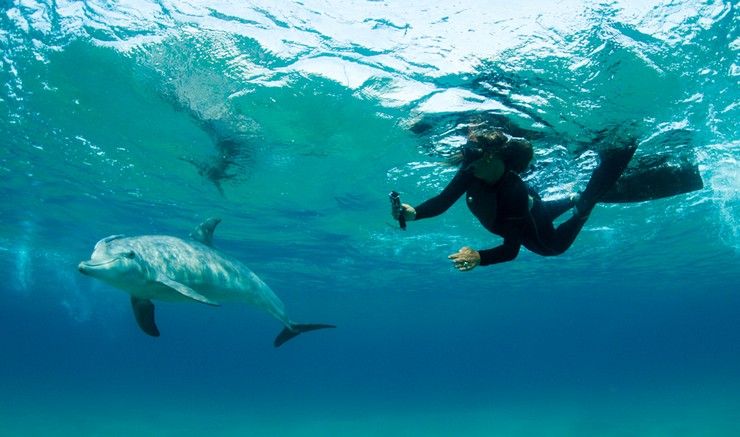 14 Day Beach and Wildlife Safari