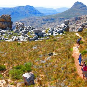 21 Day Cape Town to Victoria Falls Safari