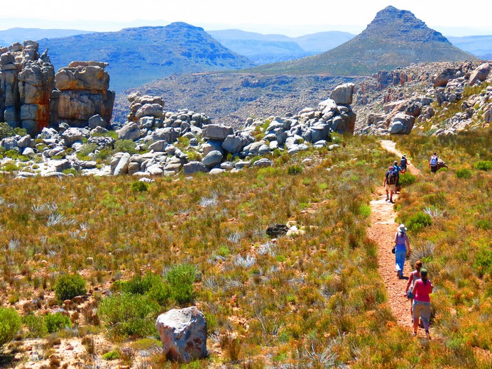 21 Day Cape Town to Victoria Falls Safari