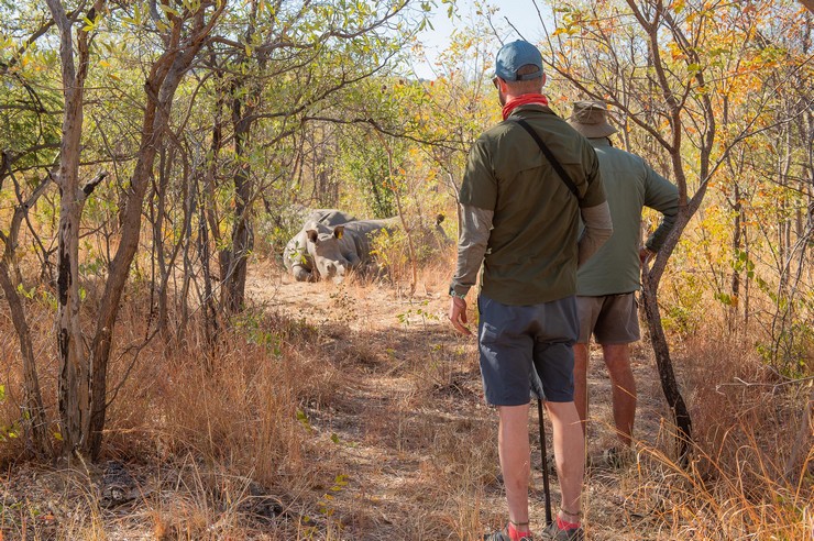 16 Day Zimbabwe and Botswana Safari Wildlife Explorer