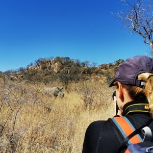 16 Day Zimbabwe and Botswana Safari Overland