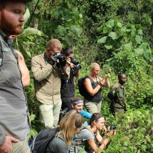 13 Day Premier Uganda, Rwanda and Kenya Tour