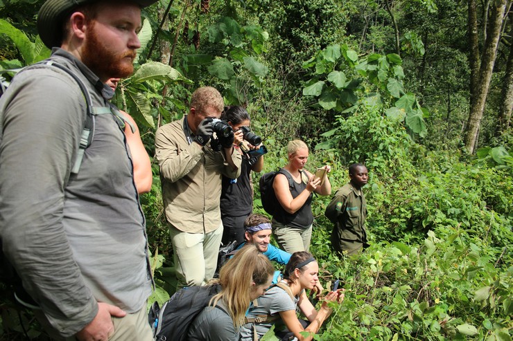 13 Day Premier Uganda, Rwanda and Kenya Tour