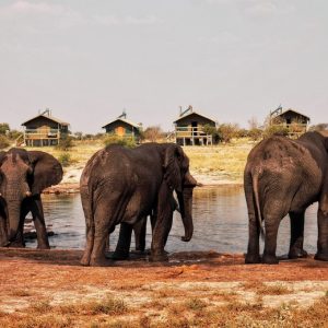 58 Day Nairobi to Cape Town Epic Tour
