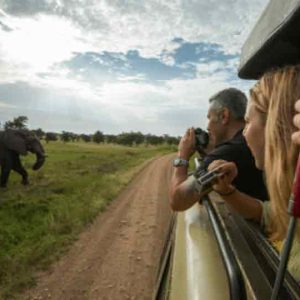 40 Day African Adventure: From Cape Town to the Serengeti’s Wild Heart
