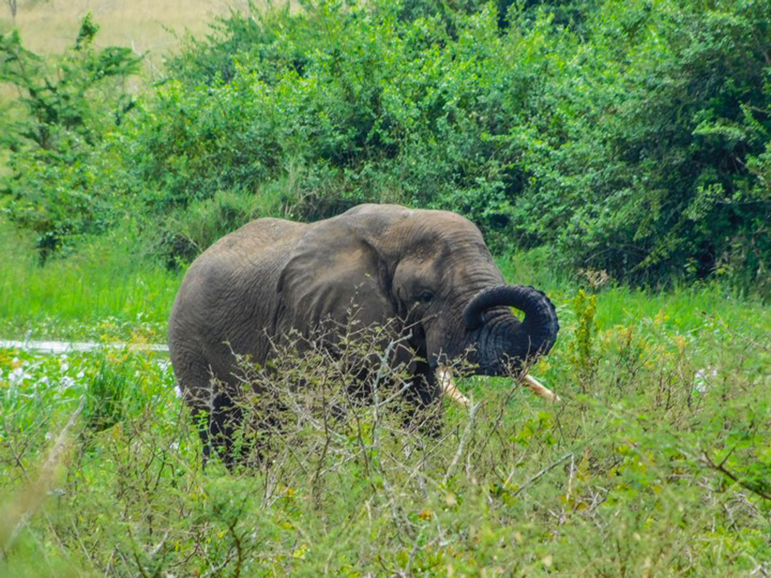 Budget Zanzibar Tours