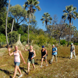 16 Day Botswana & Zimbabwe Adventure