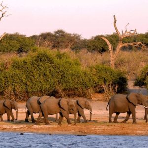 8 Day Kruger, Victoria Falls and Chobe Small Group Tour