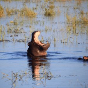 15 Day Kenya to Botswana Small Group Premium Overland Adventure