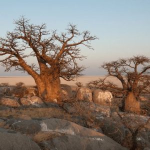 10 day Okavango Experience