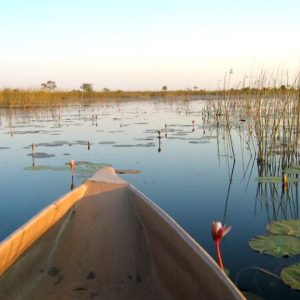 8 Day Windhoek to Victoria Falls Adventure Tour