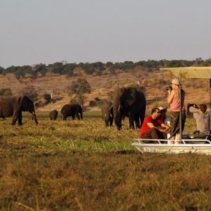11 Day Classic Botswana Safari