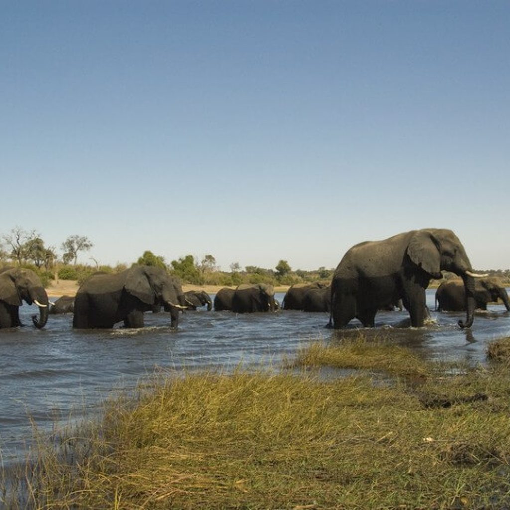 35 Day Grand African Expedition: Victoria Falls to Nairobi Adventure