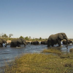 35 Day Grand African Expedition: Victoria Falls to Nairobi Adventure