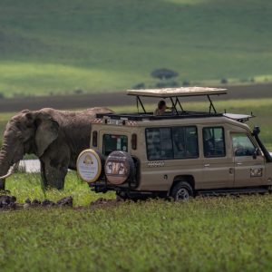 22 Day Livingstone to Nairobi Lodge Tour