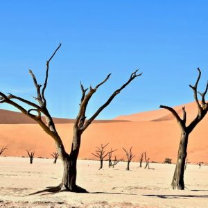 8 Days Namibia’s Iconic Canyons & Deserts