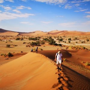 14 Day Namibia and Botswana Tour 3-4 Star Accommodation