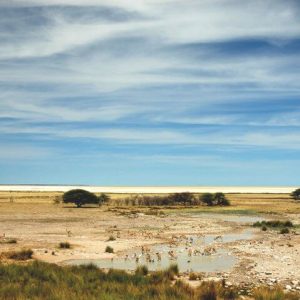 12 Day Namibia and Botswana Camping Safari