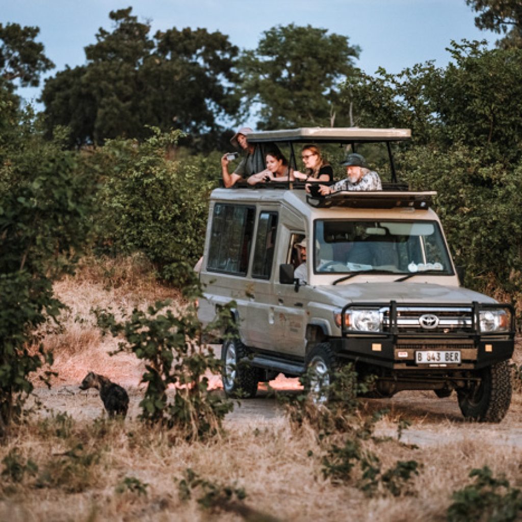 View game for your open top vehicle in Botswana