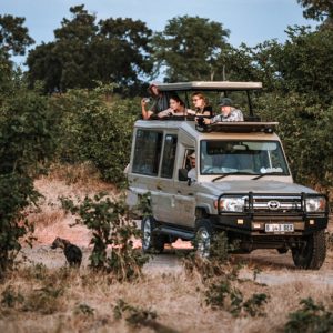 11 Day Chobe and Okavango Delta Safari
