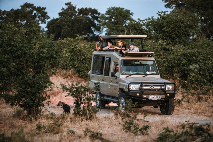 View game for your open top vehicle in Botswana