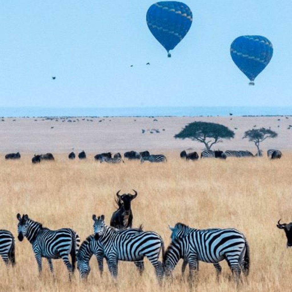 42 Day Cape Town to Nairobi Tour